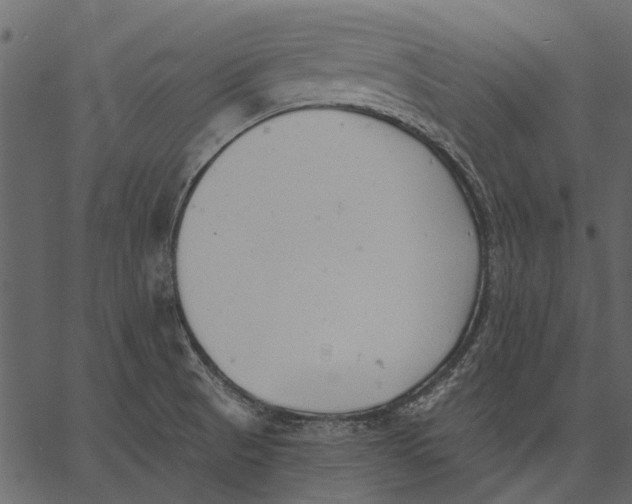 X0000062611521200601110955