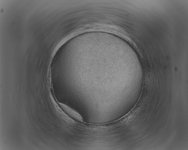 X0000062611522200601110955