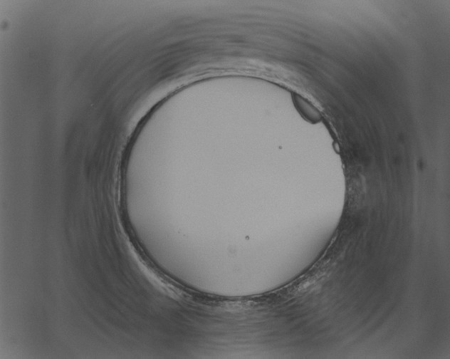 X0000062611523200601110955