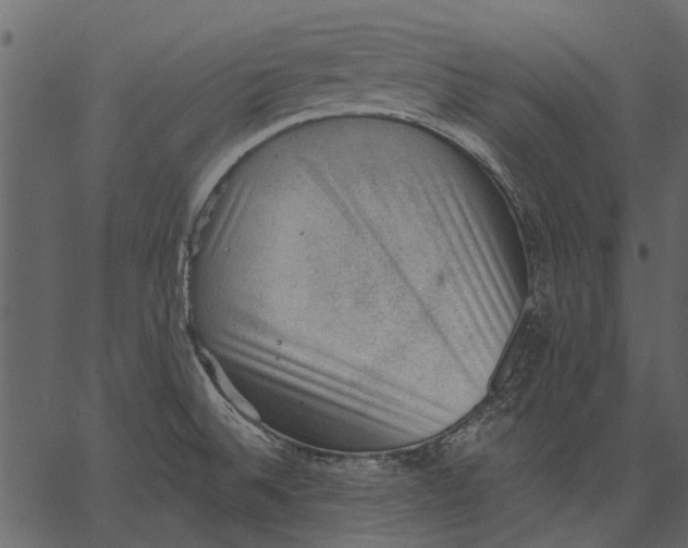 X0000062611524200601110955