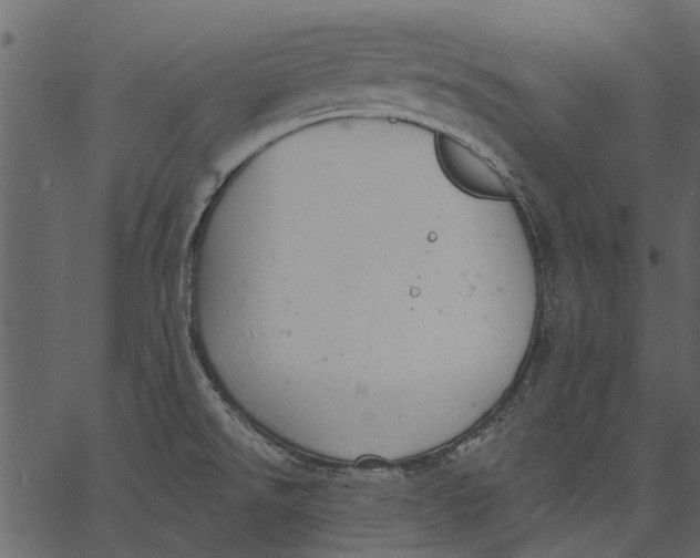 X0000062611526200601110955