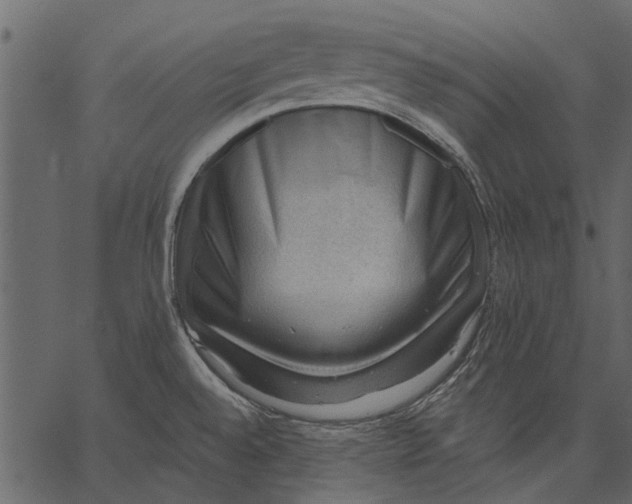 X0000062611528200601110955