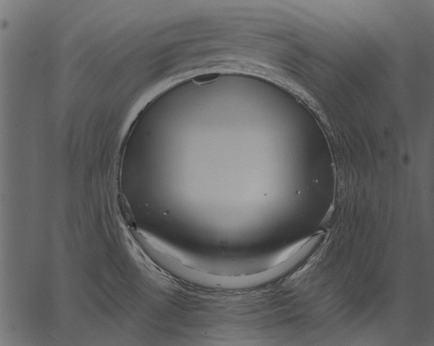 X0000062611530200601110955