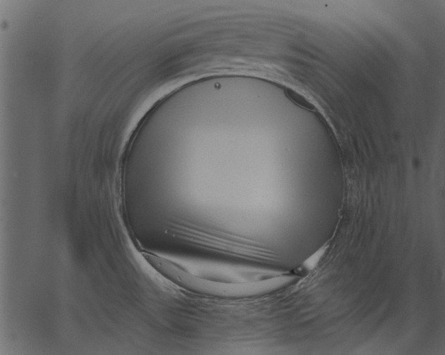 X0000062611531200601110955