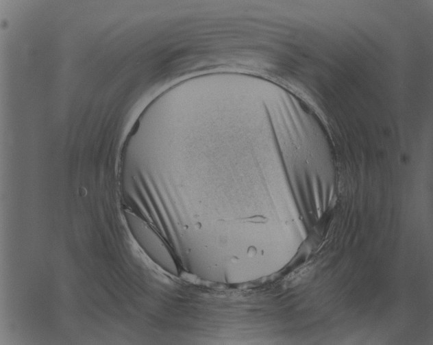 X0000062611532200601110955