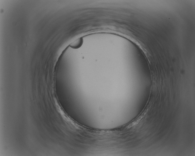 X0000062611534200601110955