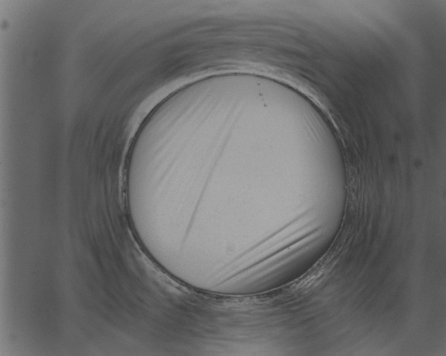 X0000062611535200601110955