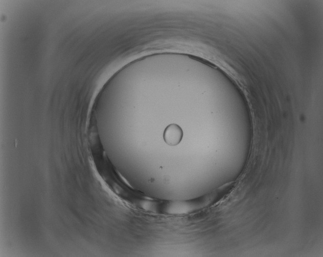 X0000062611536200601110955