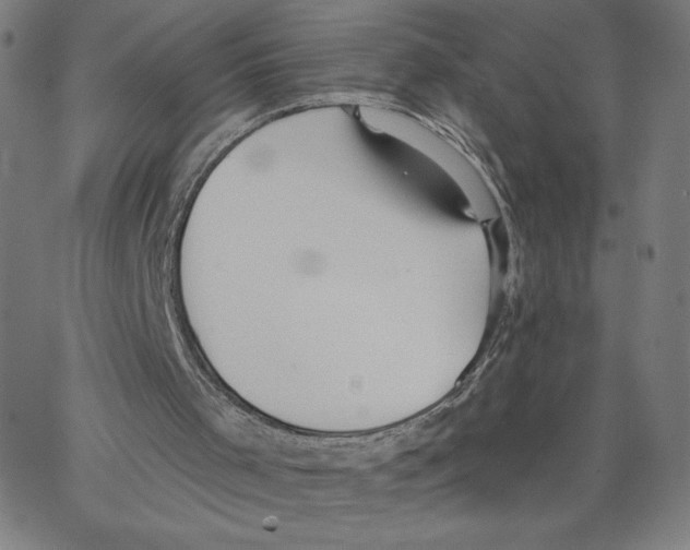 X0000062610001200601181641