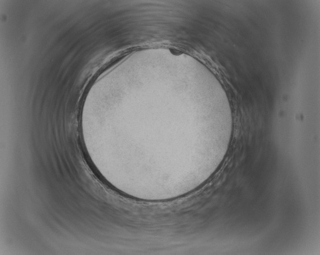 X0000062610002200601181641