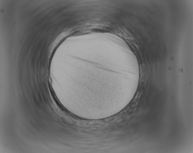 X0000062610003200601181641