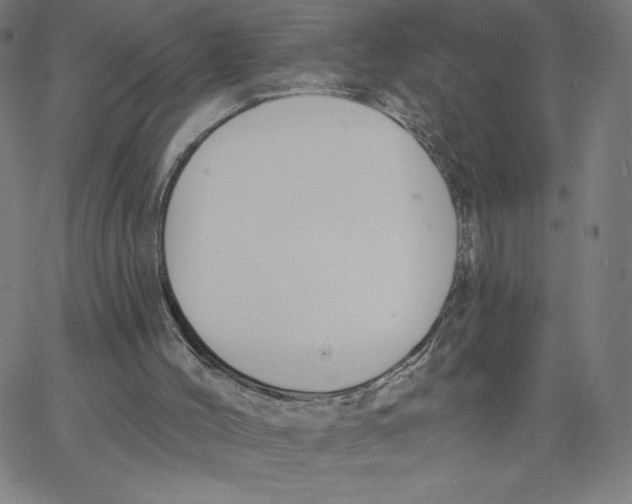 X0000062610004200601181641