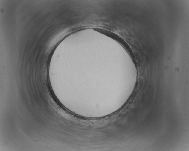 X0000062610005200601181641