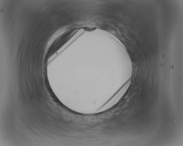 X0000062610006200601181641