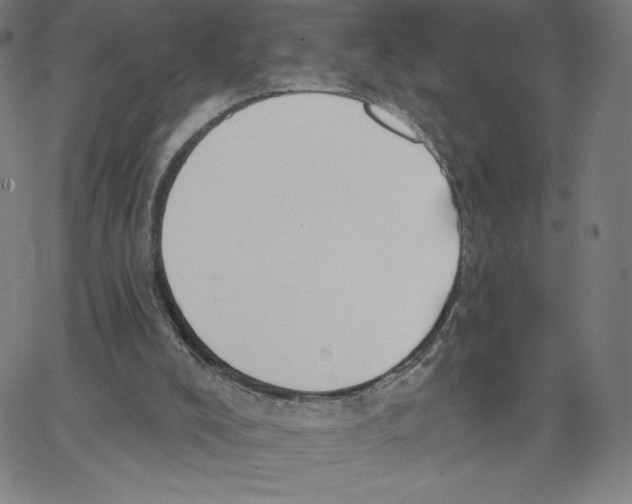 X0000062610008200601181641