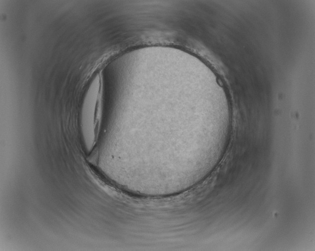 X0000062610009200601181641