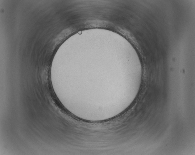 X0000062610010200601181641