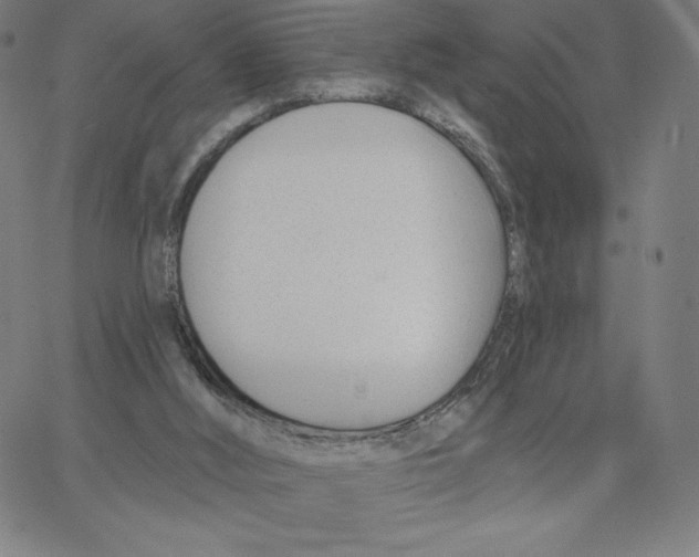 X0000062610012200601181641