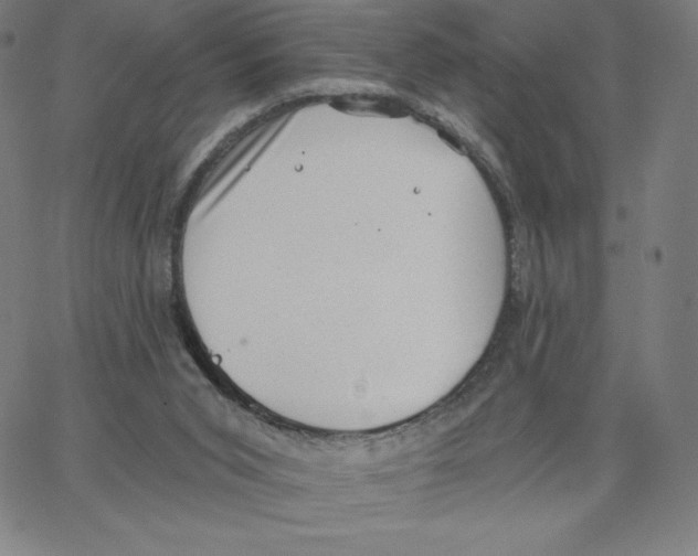 X0000062610015200601181641