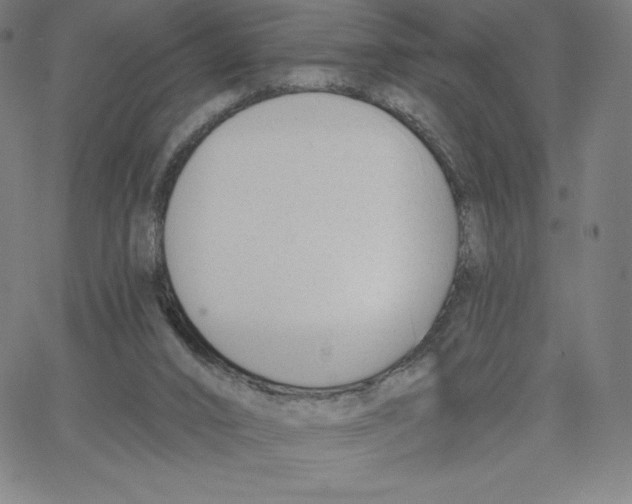 X0000062610016200601181641