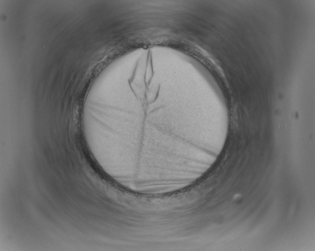 X0000062610018200601181641