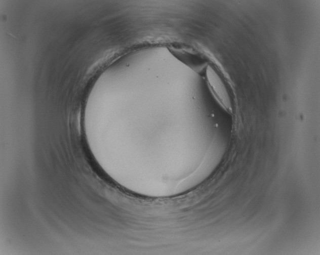 X0000062610019200601181641