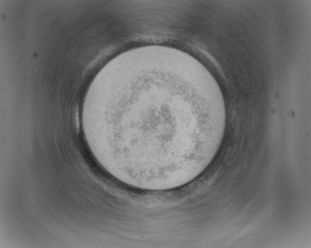 X0000062610020200601181641