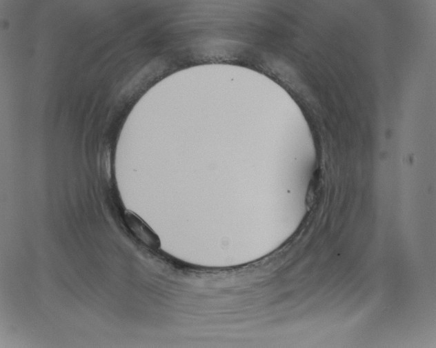 X0000062610021200601181641