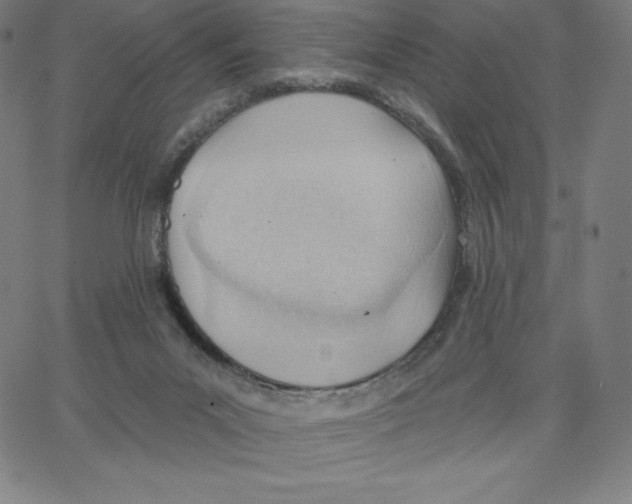 X0000062610023200601181641