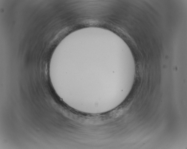 X0000062610024200601181641