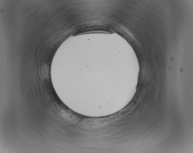 X0000062610025200601181641