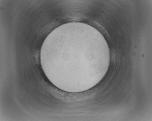 X0000062610026200601181641