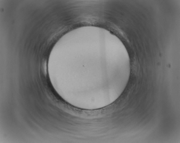 X0000062610027200601181641