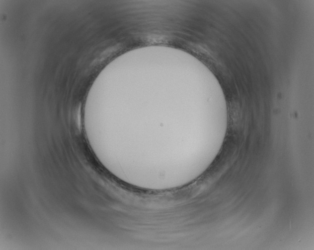 X0000062610028200601181641