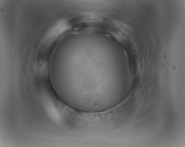 X0000062610029200601181641