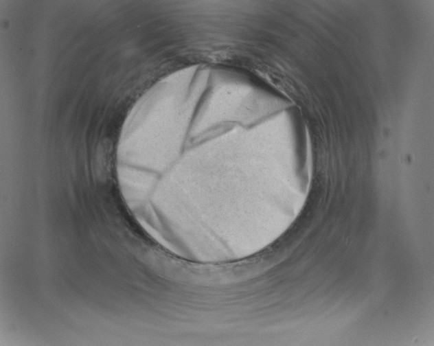 X0000062610030200601181641