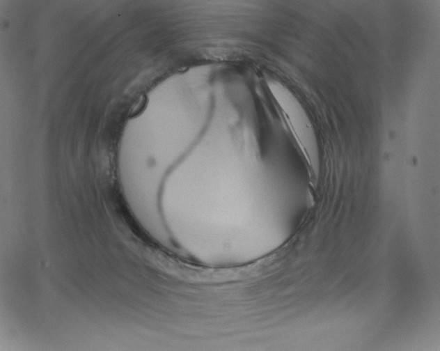 X0000062610031200601181640