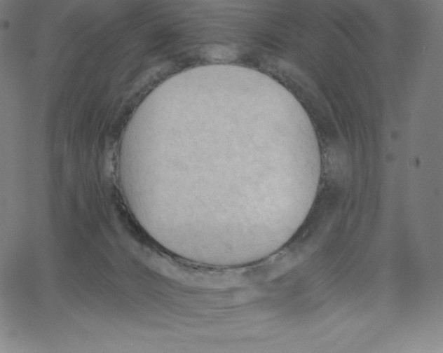 X0000062610032200601181640