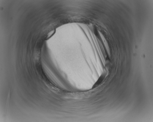 X0000062610033200601181640