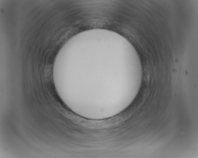 X0000062610034200601181640