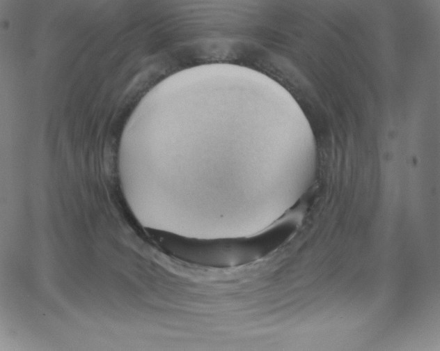 X0000062610035200601181640