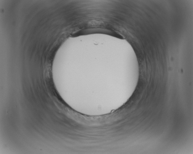 X0000062610038200601181640