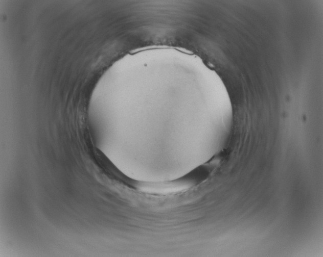 X0000062610039200601181640