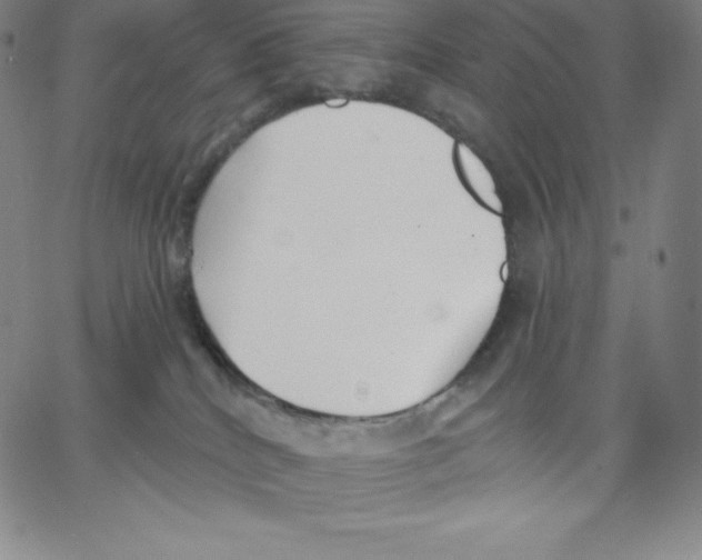 X0000062610040200601181640