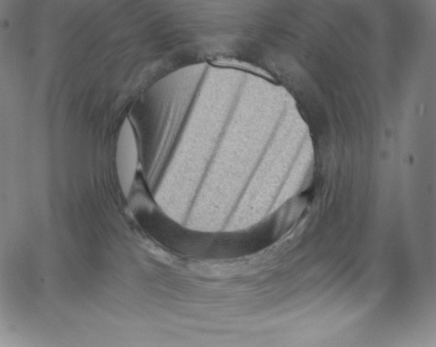 X0000062610041200601181640