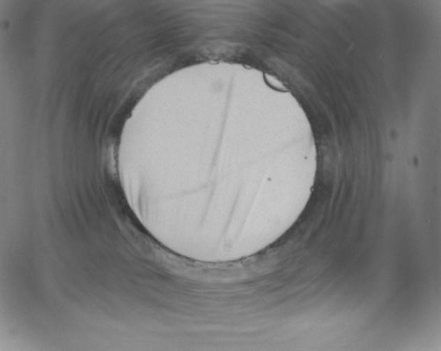 X0000062610042200601181640