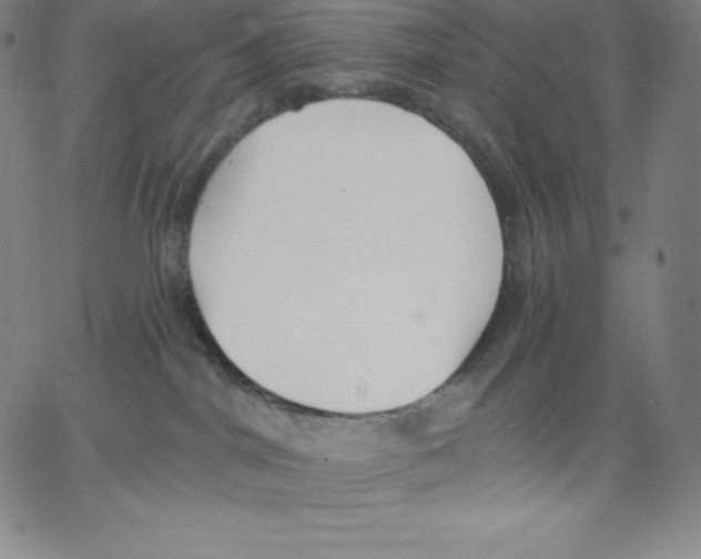 X0000062610044200601181640