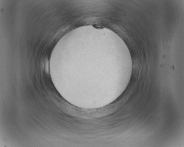 X0000062610046200601181640