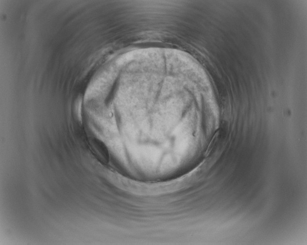 X0000062610047200601181640