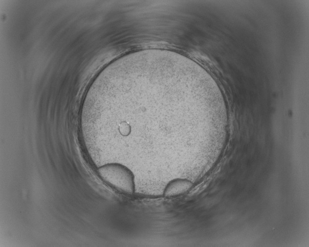 X0000062610049200601181639